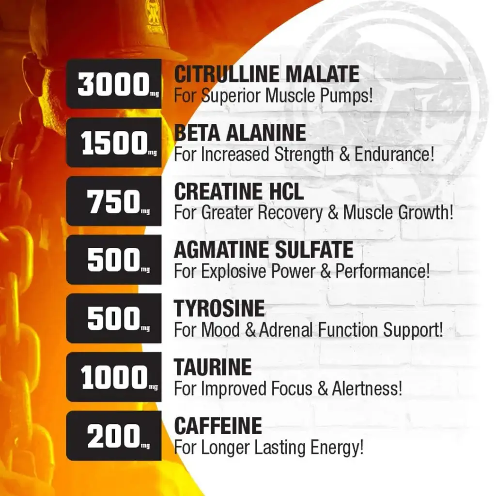 MAMMOTH PUMP Pre Workout Powder Superior Muscle Pumps Increase Strength & Endurance — Powder