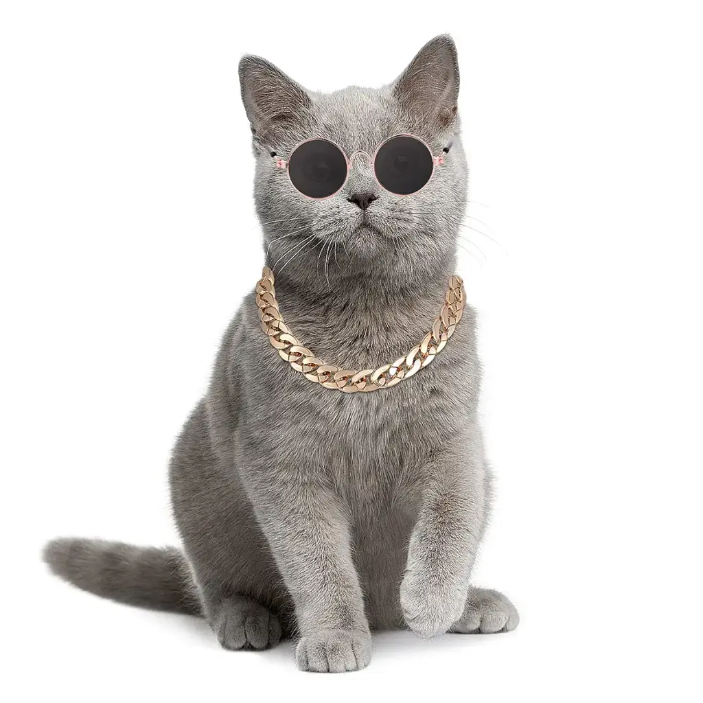 Molain Cat Sunglasses Gold Chain Costume Decorations- Cat UV Protection Classic Retro — Pet