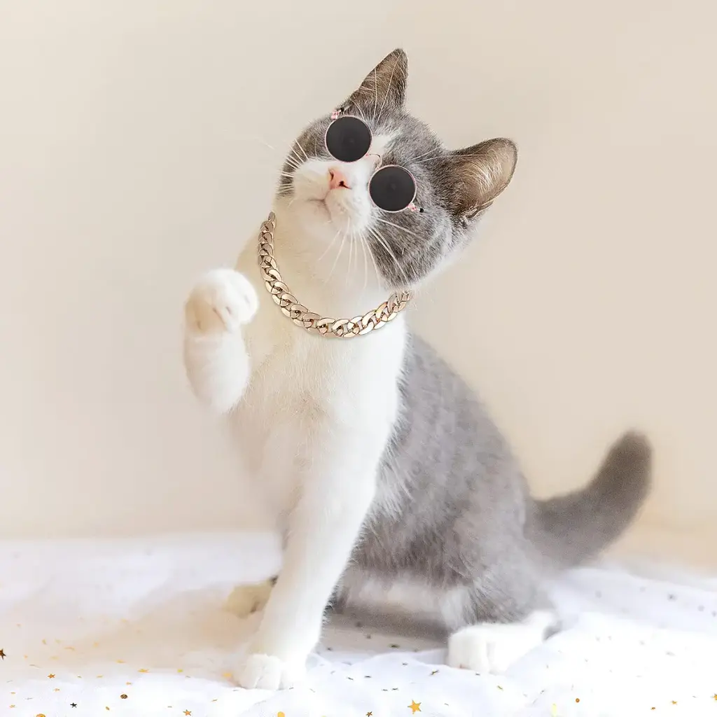 Molain Cat Sunglasses Gold Chain Costume Decorations- Cat UV Protection Classic Retro — Pet