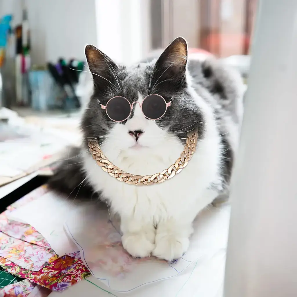 Molain Cat Sunglasses Gold Chain Costume Decorations- Cat UV Protection Classic Retro — Pet