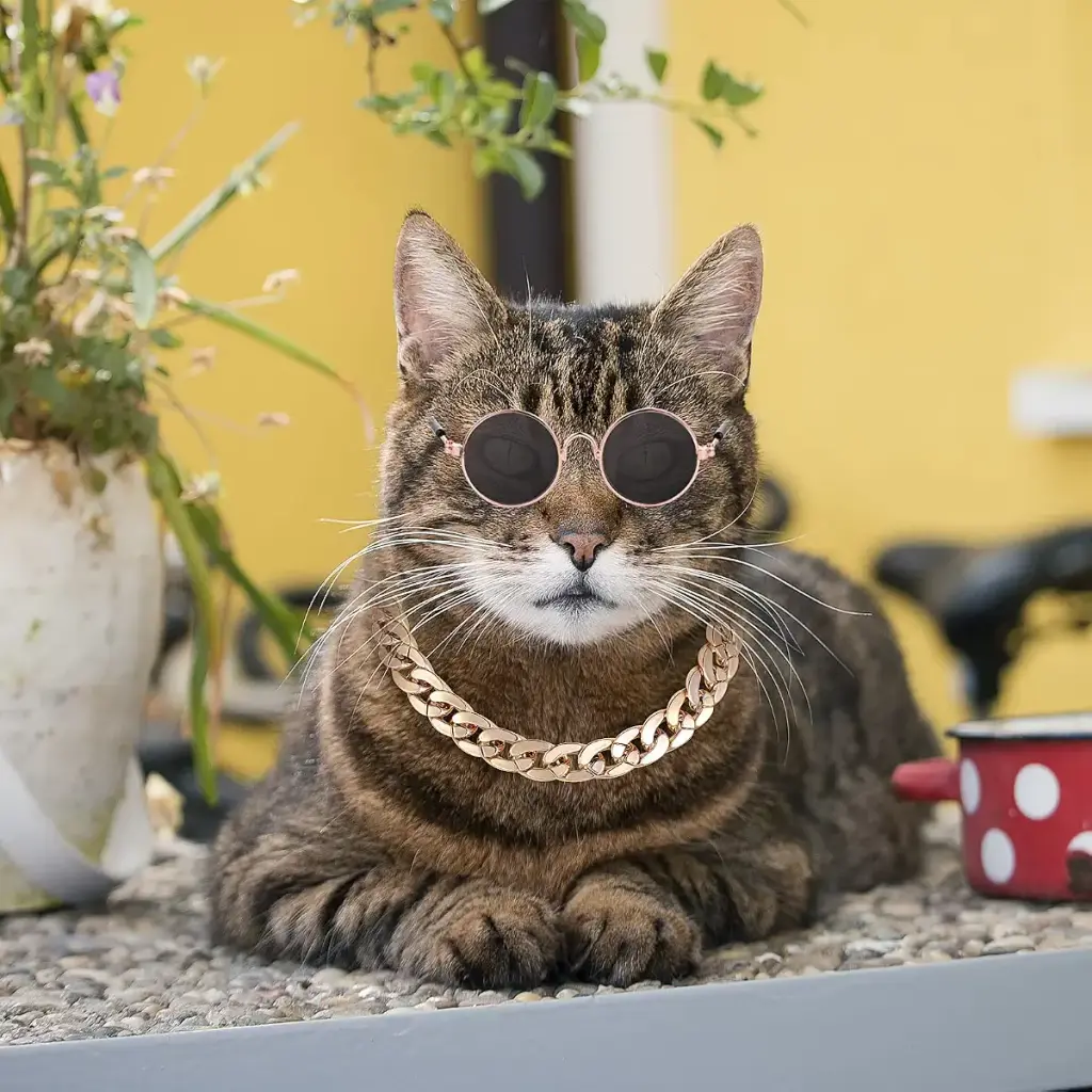 Molain Cat Sunglasses Gold Chain Costume Decorations- Cat UV Protection Classic Retro — Molain