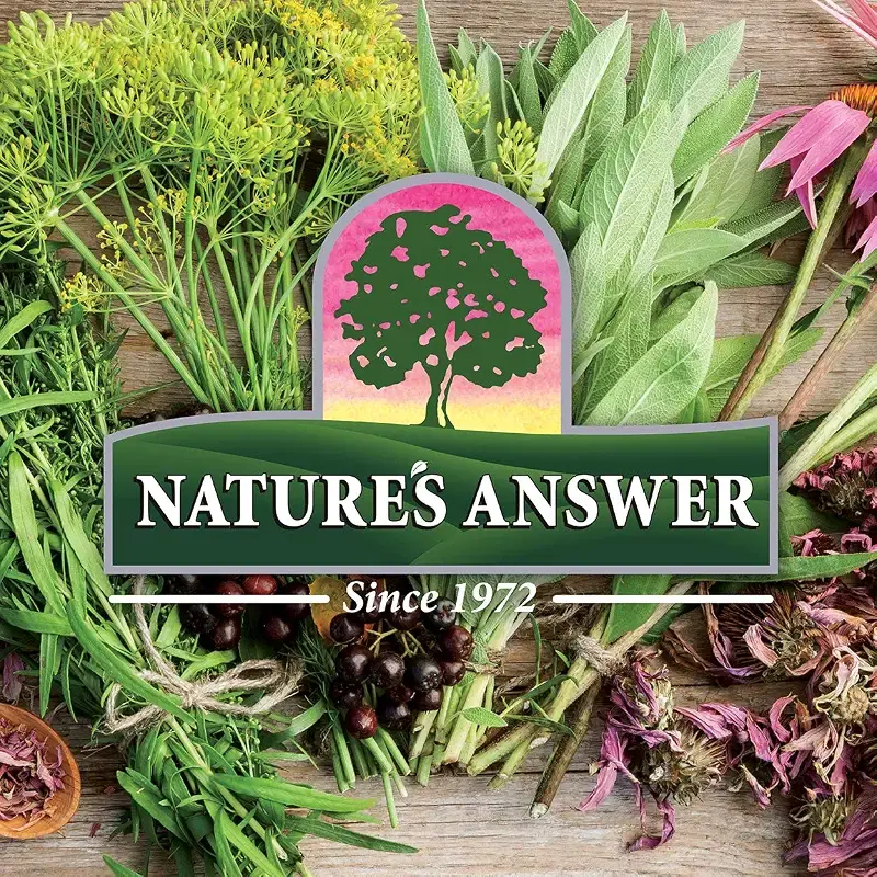 Nature's Answer PerioBrite Natural Brightening Toothpaste with CoQ10 & Folic Acid Cool — Mint
