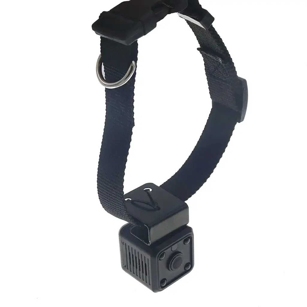 New Wireless Rechargeable WiFi 1MP 720P HD Digital Pet Collar Camera Recorder Tracker for — Hosecurity