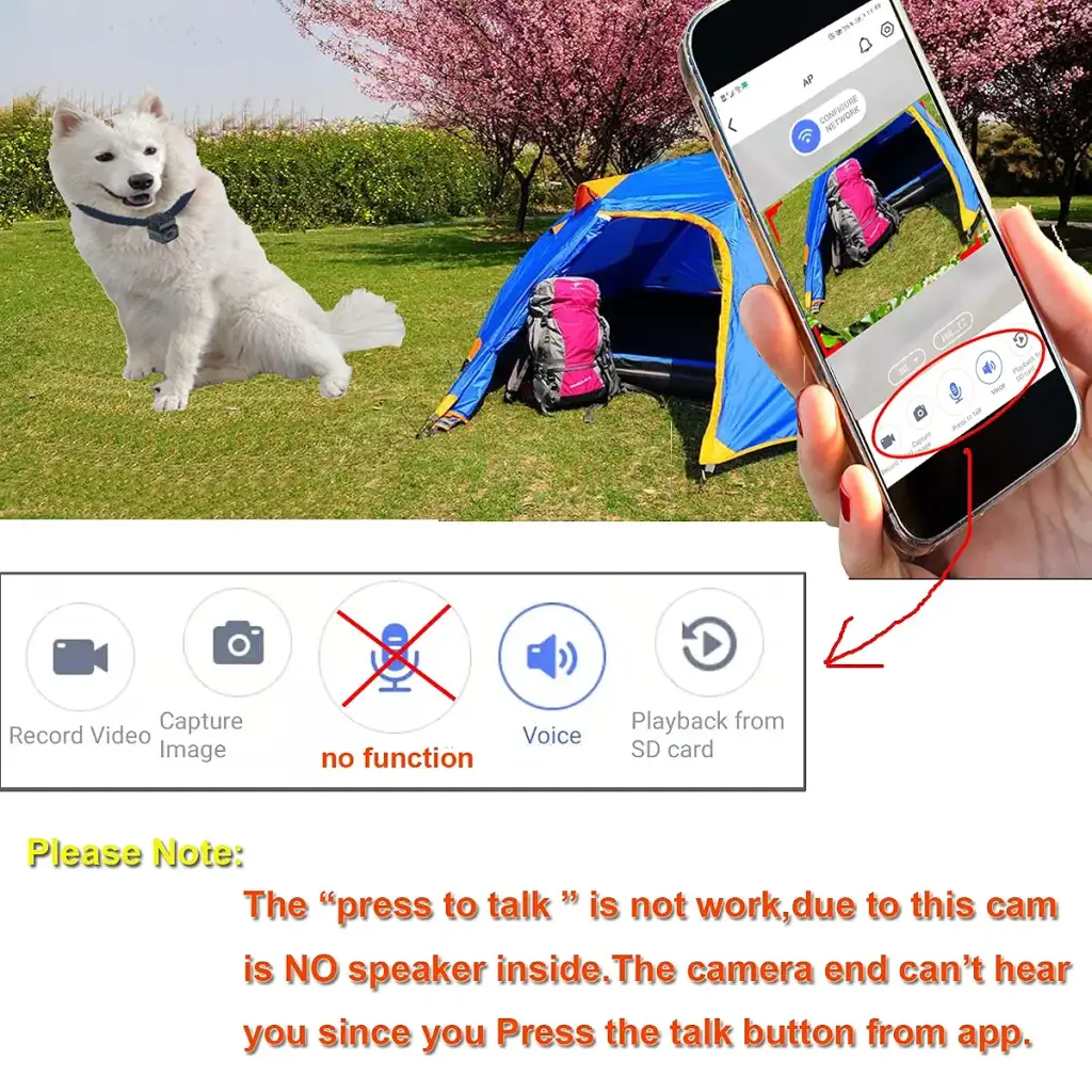 New Wireless Rechargeable WiFi 1MP 720P HD Digital Pet Collar Camera Recorder Tracker for — Pet