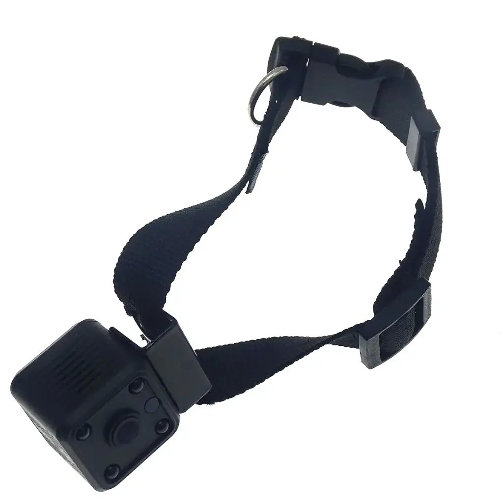 New Wireless Rechargeable WiFi 1MP 720P HD Digital Pet Collar Camera Recorder Tracker for — Hosecurity