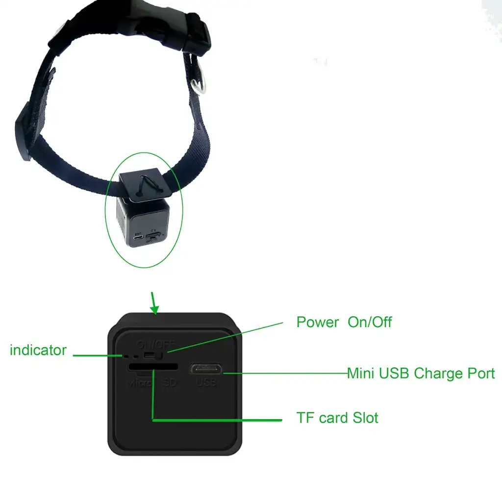 New Wireless Rechargeable WiFi 1MP 720P HD Digital Pet Collar Camera Recorder Tracker for — Hosecurity