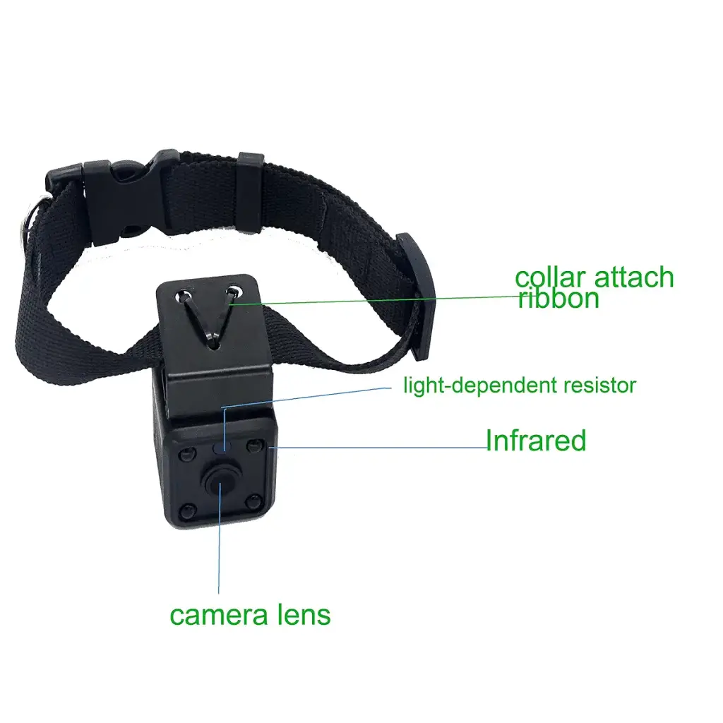New Wireless Rechargeable WiFi 1MP 720P HD Digital Pet Collar Camera Recorder Tracker for — Pet