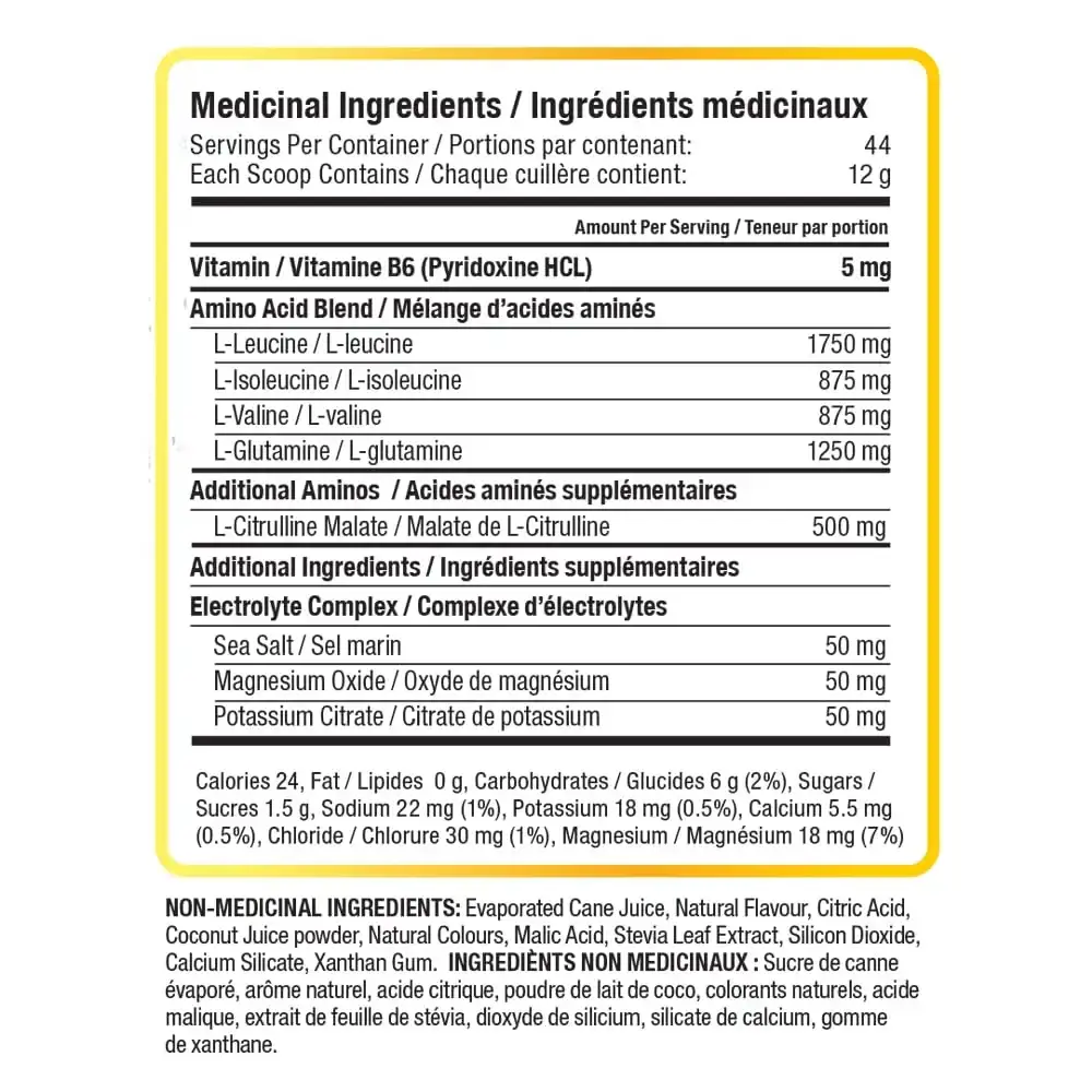 Nutraphase Clean BCAA Vegan-Friendly Gluten-Free Pineapple 44 servings 528 grams — 528 g