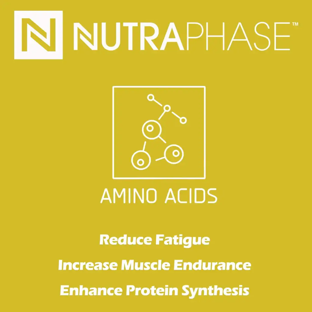 Nutraphase Clean BCAA Vegan-Friendly Gluten-Free Pineapple 44 servings 528 grams — Sports Nutrition