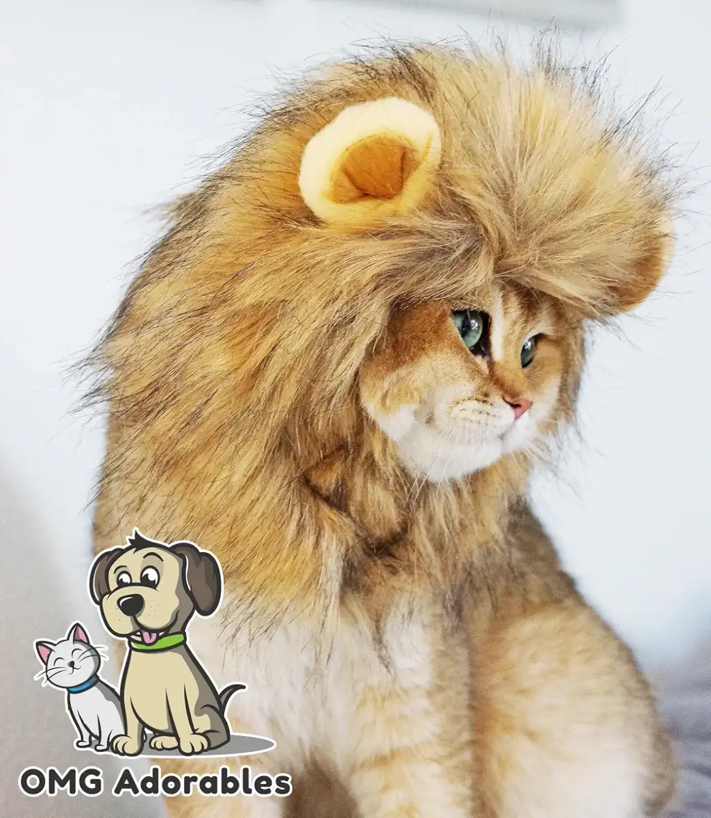 OMG Adorables Lion Mane Costume for Cat — OMG Adorables