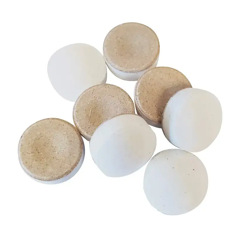OraCoat XyliMelts Dry Mouth Relief Moisturizing Oral Adhering Discs Mild Mint with — Mint