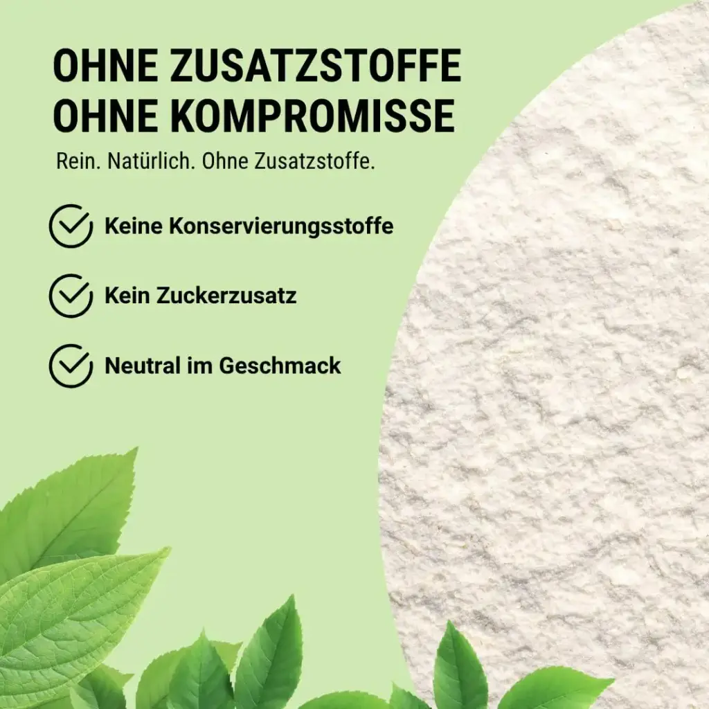 Organic Workout Organic egg white powder pure egg white protein from organic eggs for — Powder