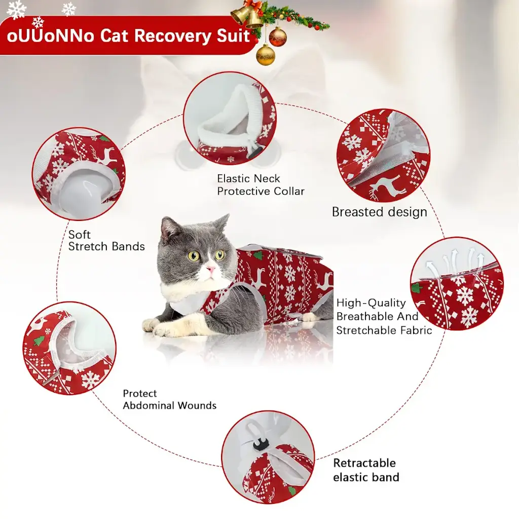 oUUoNNo Cat Wound Surgery Recovery Suit for Abdominal Wounds or Skin Diseases, After — OUUoNNo