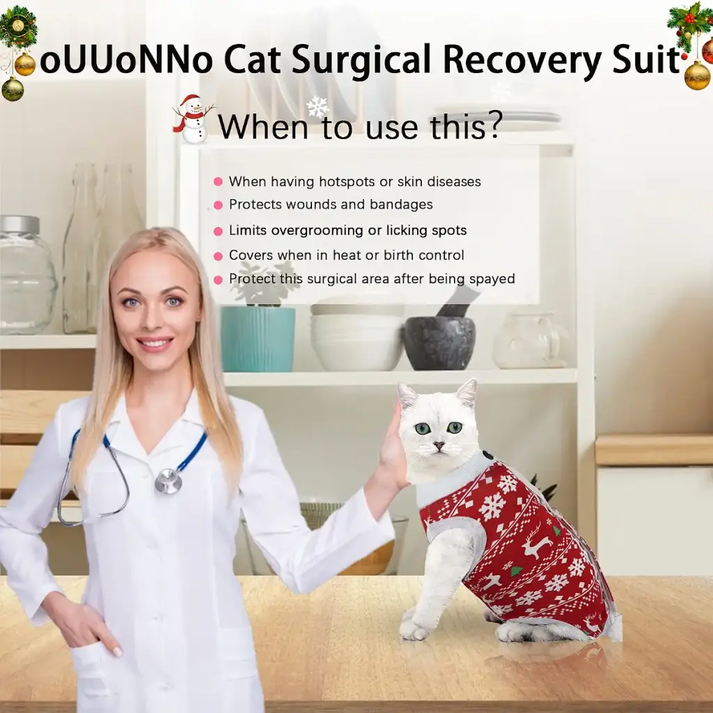 oUUoNNo Cat Wound Surgery Recovery Suit for Abdominal Wounds or Skin Diseases, After — Pet