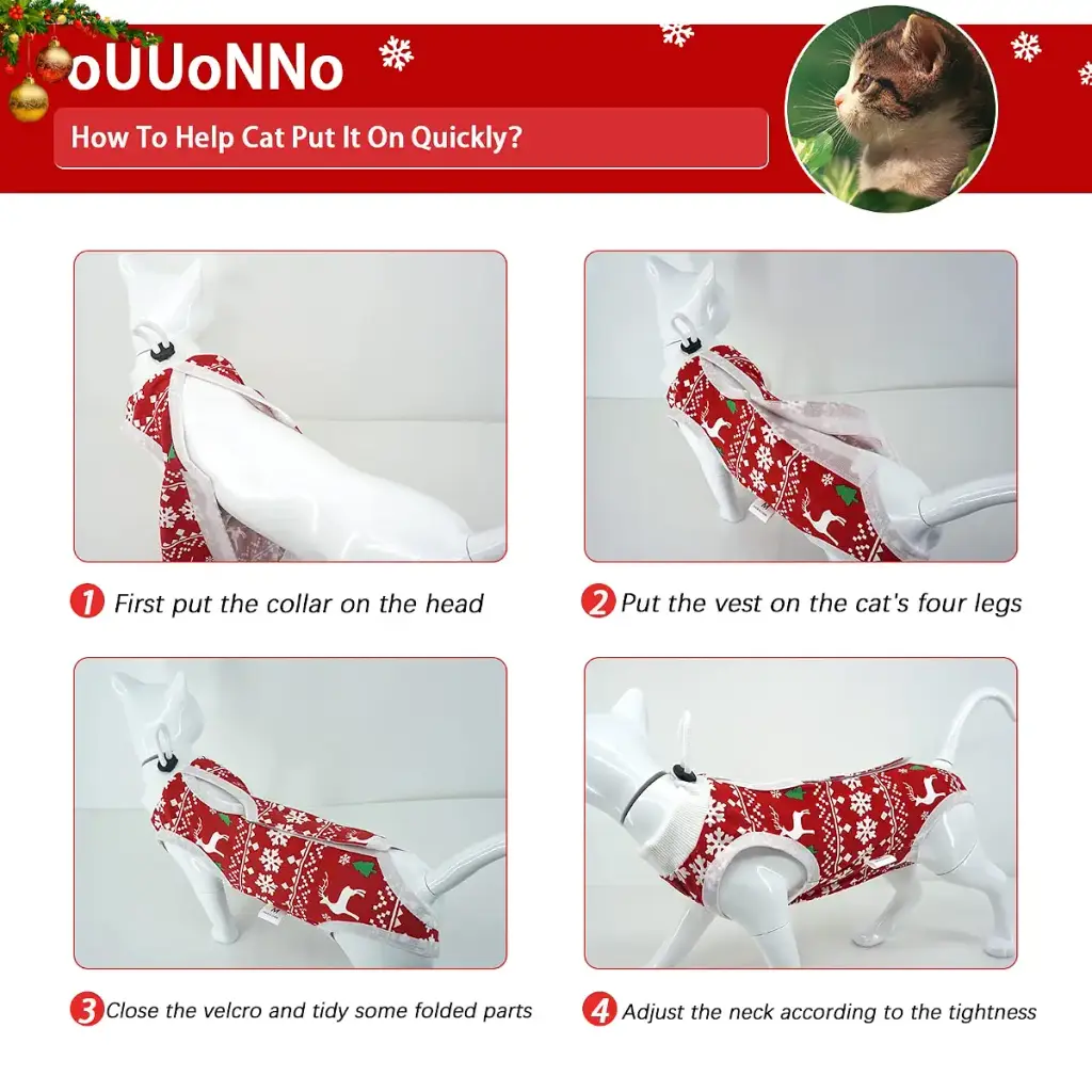 oUUoNNo Cat Wound Surgery Recovery Suit for Abdominal Wounds or Skin Diseases, After — OUUoNNo