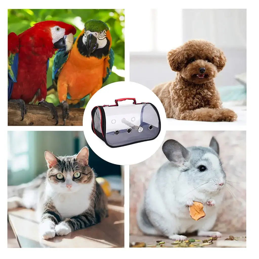 Pet Birds Bag Lightweight Bird Carrier PVC Transparent Travel Cage Foldable Ventilation — DZAY