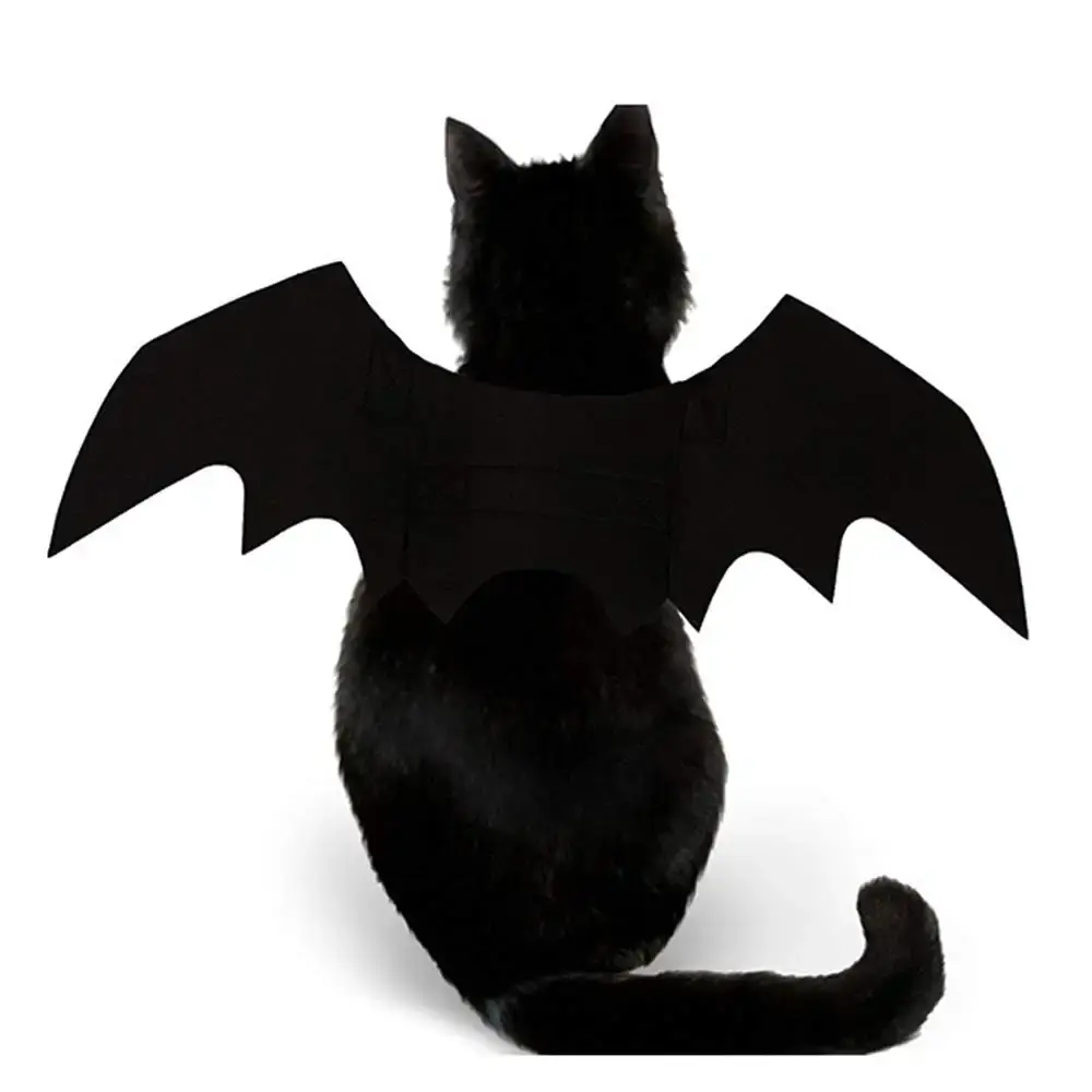 Pet Cat Bat Wings for Halloween Party Decoration, Puppy Collar Leads Cosplay Bat — Puoyis