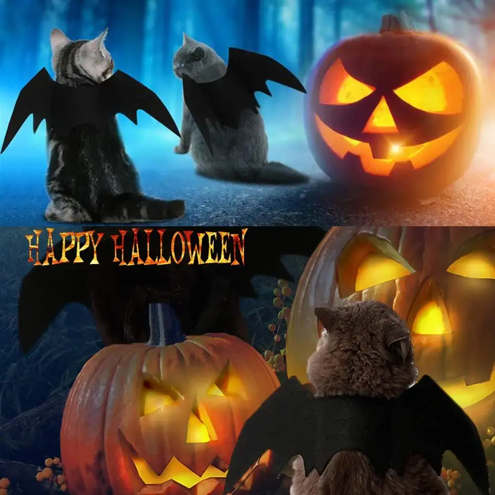 Pet Cat Bat Wings for Halloween Party Decoration, Puppy Collar Leads Cosplay Bat — Puoyis