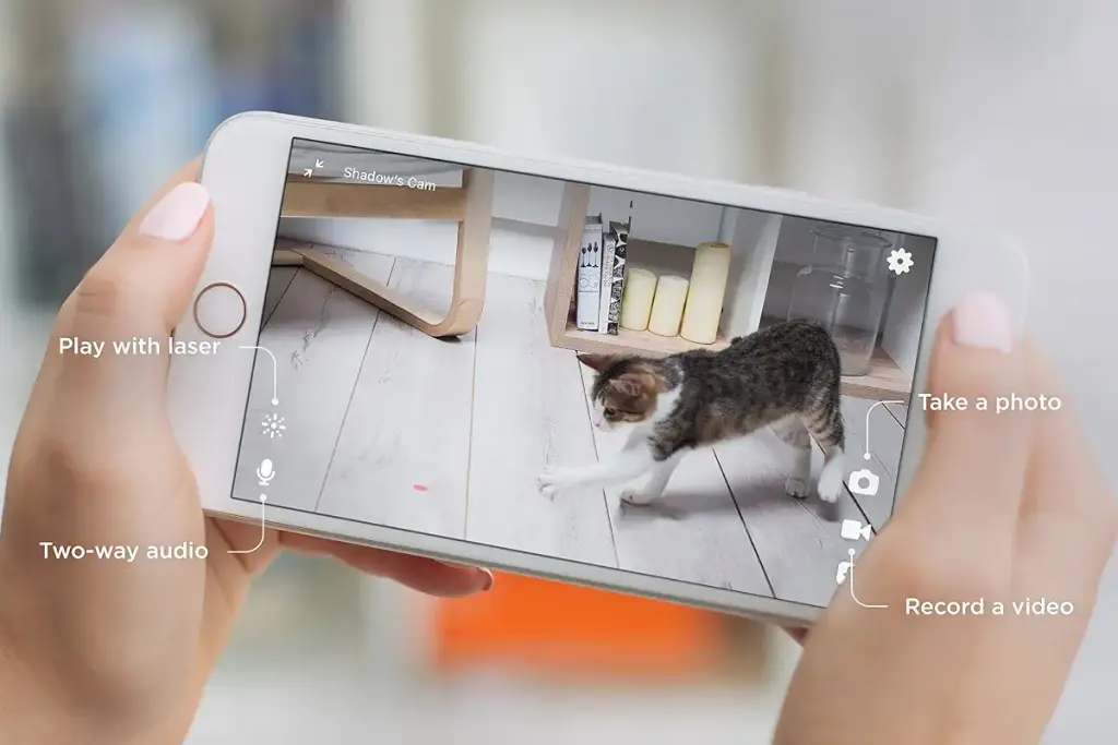 Petcube 2017 Item Play Smart Pet Camera with Interactive Laser Toy. Remote Dog/Cat — Pet