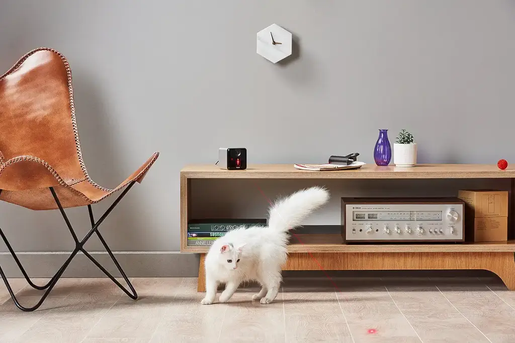 Petcube 2017 Item Play Smart Pet Camera with Interactive Laser Toy. Remote Dog/Cat — Petcube