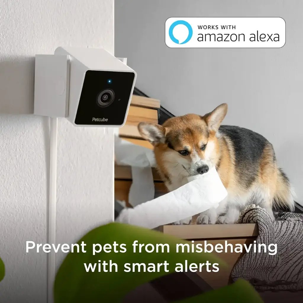 Petcube Cam Indoor Wi-Fi Pet and Security Camera with Phone App, Pet Monitor with 2-Way — Pet