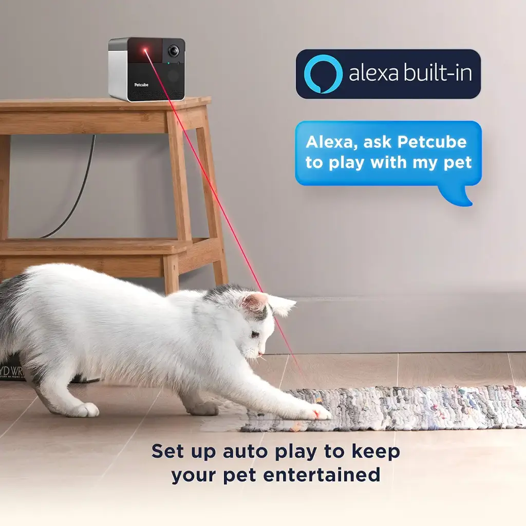 Petcube Play 2 Wi-Fi Pet Camera with Laser Toy & Alexa Built-In, for Cats & Dogs. 1080P — Petcube