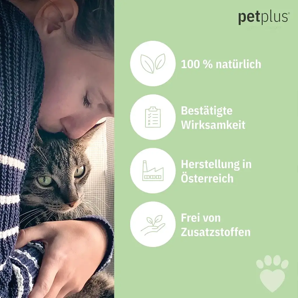 Petplus Klinoptilolith Powder for cat 250g for intestinal cleaning premium no — PetPlus