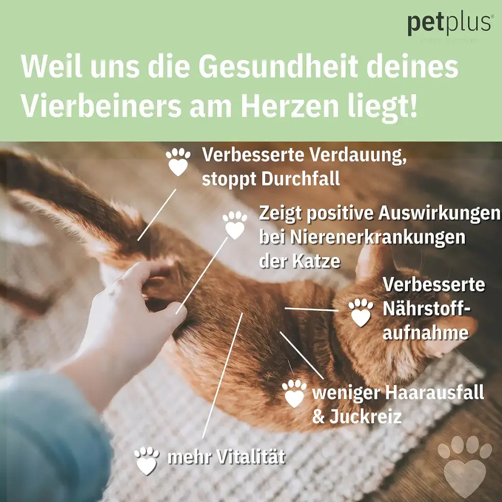 Petplus Klinoptilolith Powder for cat 250g for intestinal cleaning premium no — 250 g