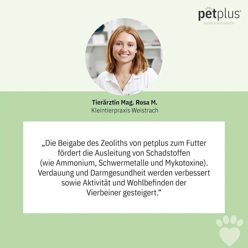 Petplus Klinoptilolith Powder for cat 250g for intestinal cleaning premium no — 250 g
