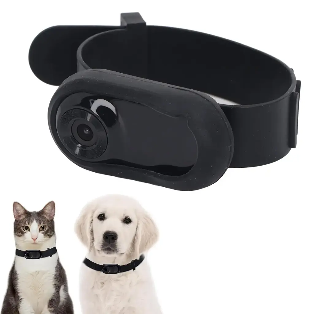 Pets collar camera Full HD 4k cat dog Tracker collar with 120 degrees wide angle small — CCYLEZ