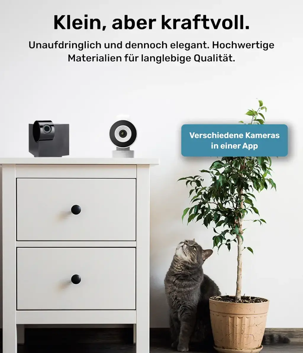 Pettec CAM 360 Pet camera Dog camera with app without subscription trap - cats & dogs — PetTec