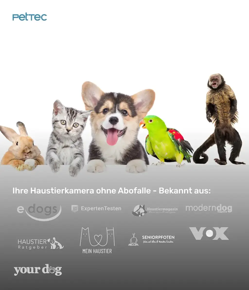 Pettec CAM 360 Pet camera Dog camera with app without subscription trap - cats & dogs — Pet