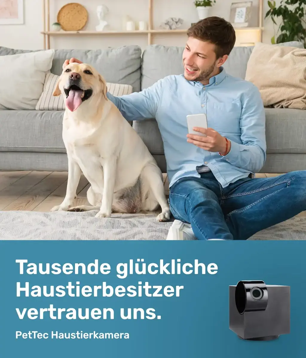 Pettec CAM 360 Pet camera Dog camera with app without subscription trap - cats & dogs — PetTec