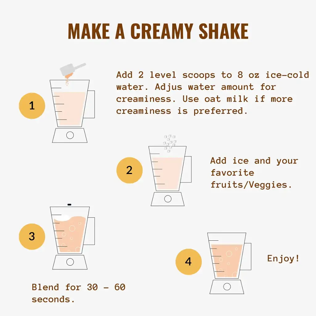 Plant Based Protein Powder Chocolate - Lactose & Dairy Free Protein Powder - Vegan — Chocolate