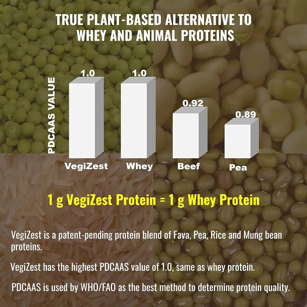 Plant Based Protein Powder Chocolate - Lactose & Dairy Free Protein Powder - Vegan — Sports Nutrition
