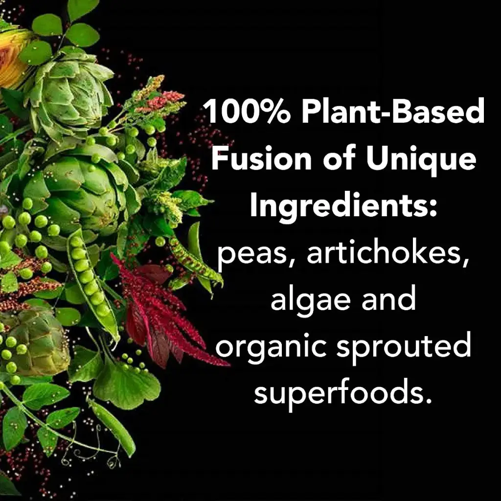 PlantFusion Vegan Protein Powder, Plant Based Protein Powder, BCAAs + Digestive Enzymes — 1 lb