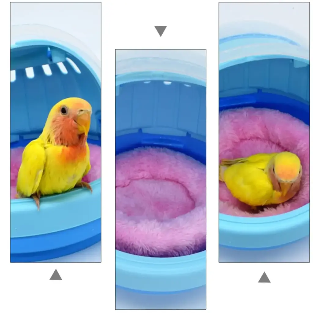 POPETPOP 2 Sets brooding bird warm nest hamster stuffed animals sightseeing pet parrot — POPETPOP