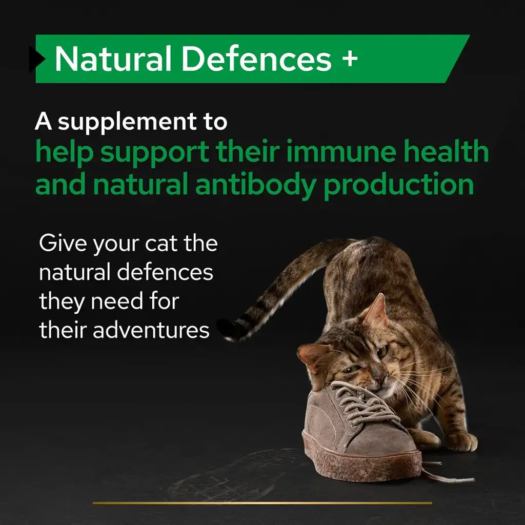 PRO PLAN Cat Natural Defences Supplement | Immune health support immune system antibody — Powder