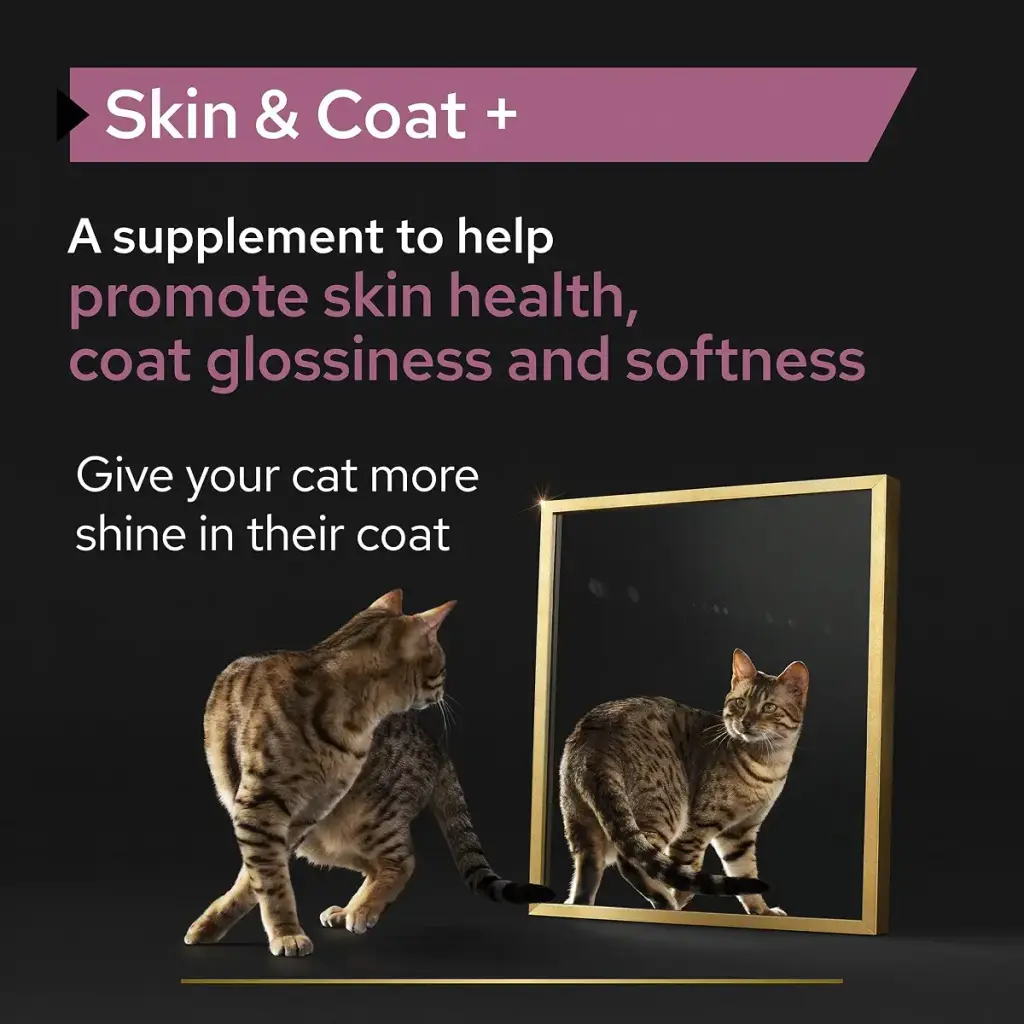 PRO PLAN Cat Skin and Coat Supplement | Skin health support lustrous coat | with salmon — Pet
