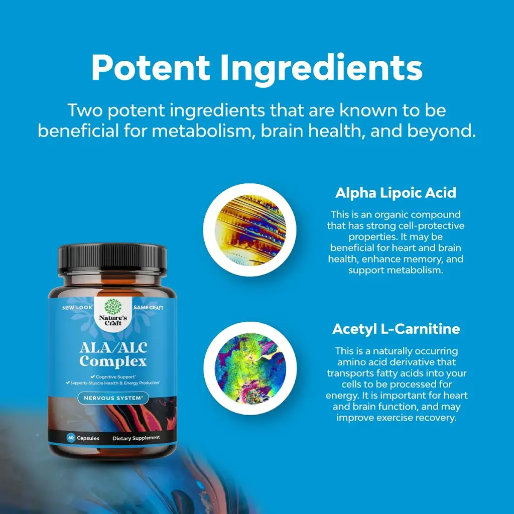 Pure Alpha Lipoic Acid Supplement with Acetyl L-Carnitine - Natural ALA ALC Amino Acids — pack of 60