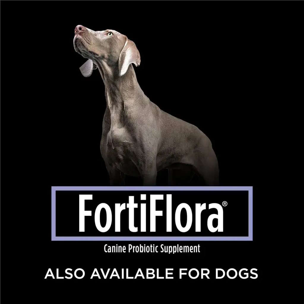 Purina Fortiflora Cat Probiotic Powder Supplement, Pro Plan Veterinary Supplements — Powder