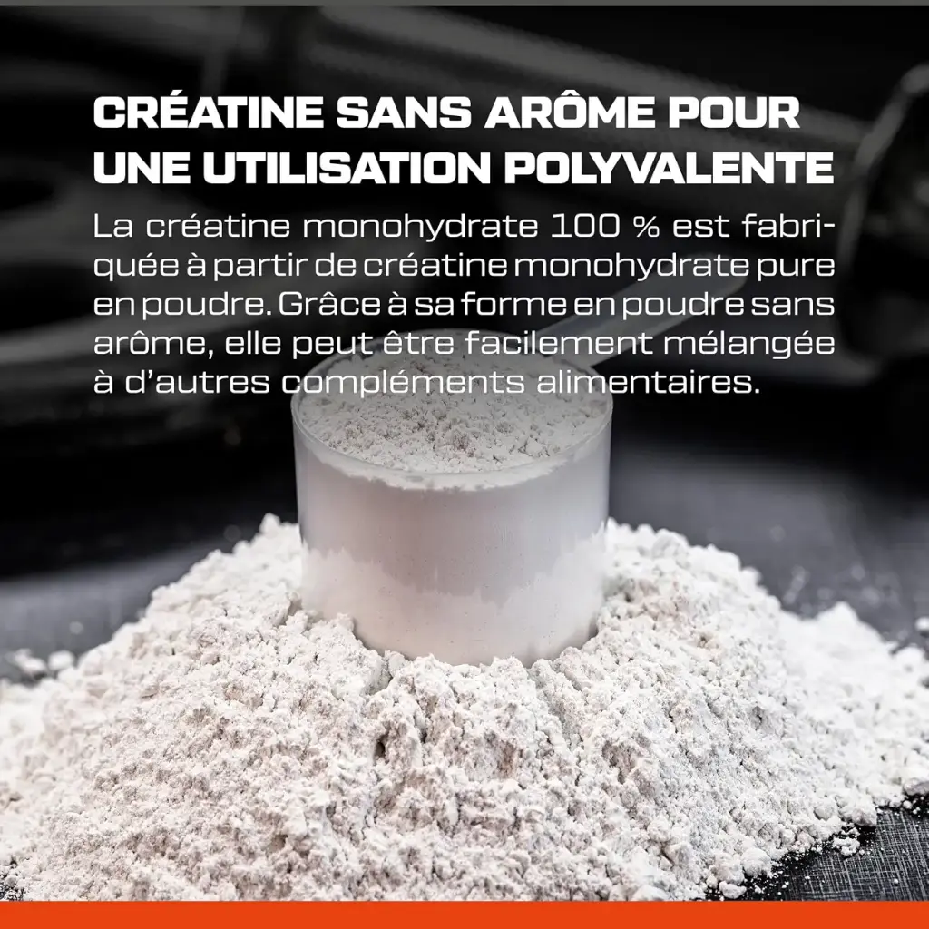 Scitec Nutrition 100% Creatine Monohydrate - Vegan - 3g par portion - Boost de — 3 g