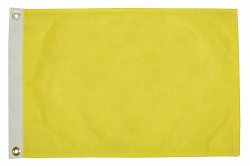 Seagator Premium Quality Yellow Q Quarantine Quebec Bahamas ICS Courtesy Boat Flag (12 inches x 18 inches)