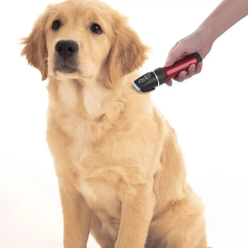Sminiker Dog Clippers Low Noise Dog Grooming Kit Rechargeable Pet Clippers Cordless Dog — Pet