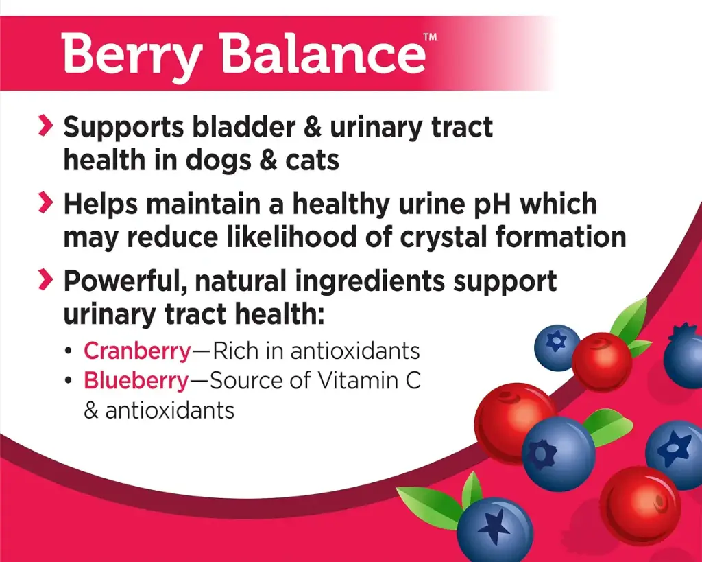 Solid Gold Cranberry Supplement for Dogs & Cats for Urinary Tract Health - Berry Balance — Berry