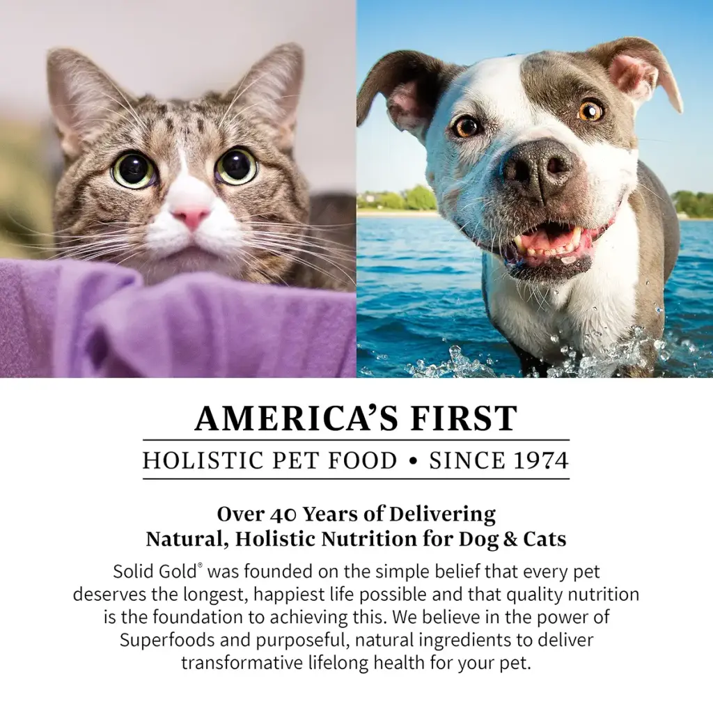 Solid Gold Cranberry Supplement for Dogs & Cats for Urinary Tract Health - Berry Balance — Vitamins