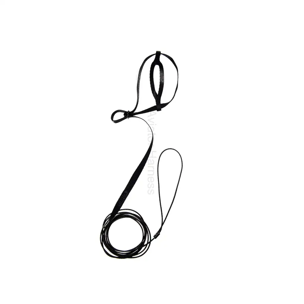 The Aviator Bird Harness and Leash: Petite Black xxs Black — Pet