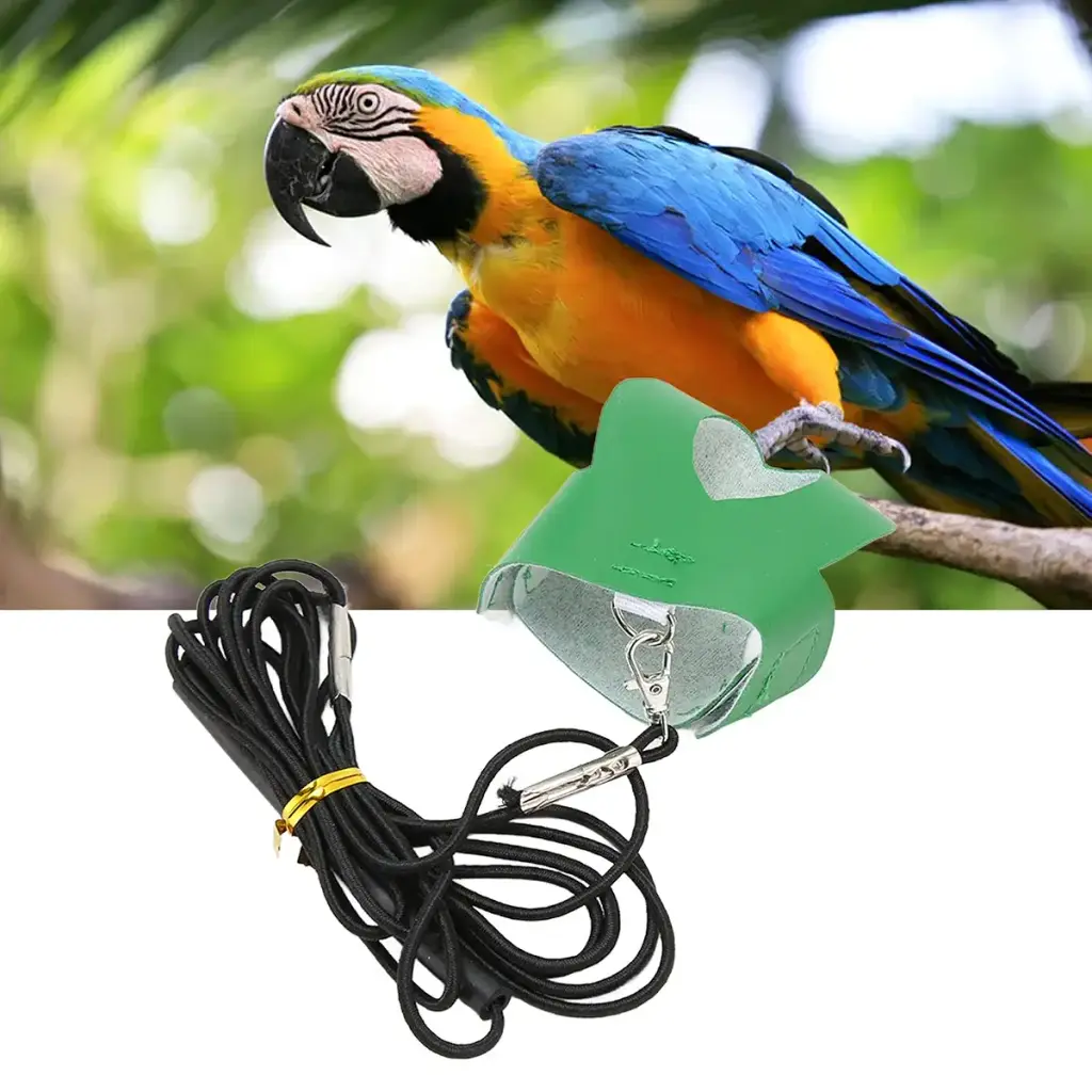 TITA-DONG Bird Flight Harness Vest Breathable Parrot Nylon Leash Bird Flight Harness — TITA-DONG
