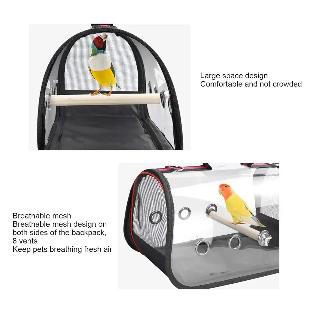 Tnfeeon Transparent Bird Carrier Portable Parrot Travel Cage Lightweight Breathable 360 — Tnfeeon