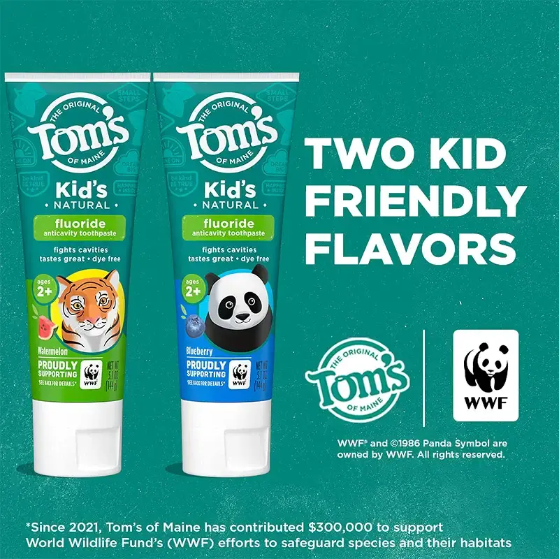 Tom's of Maine Kids Toothpaste, Blueberry, Fluoride, Natural, Children, Dye Free, 2+ — Oral Care